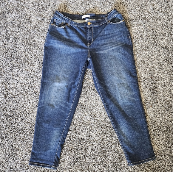 Lane Bryant Denim - Lane Bryant Straight/Skinny Jeans Womens Size 16 Medium Wash Stretch Denim